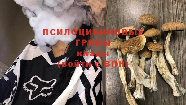 хмурый Зерноград